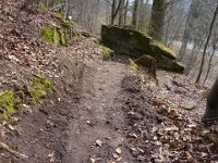 8 Journée de travaile 19 03 2016 13